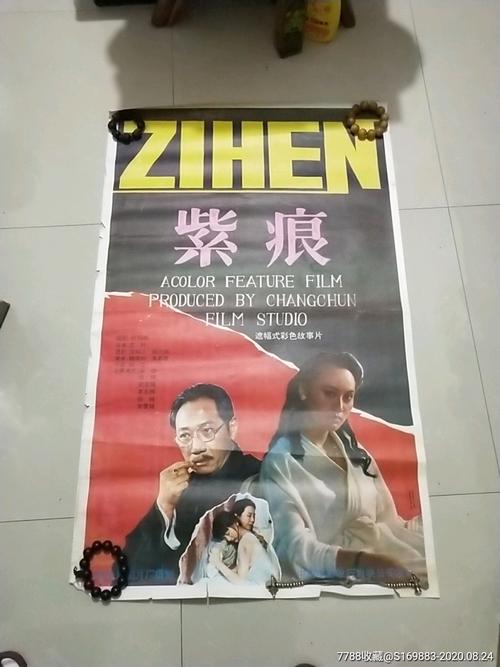 香港驾驶证能在越南使用吗
